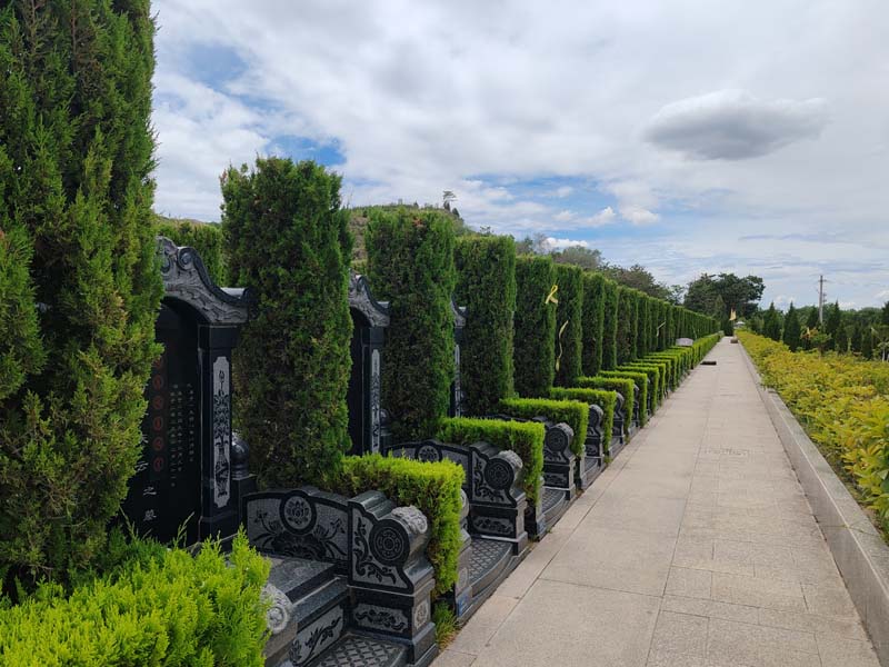 Ĺ������