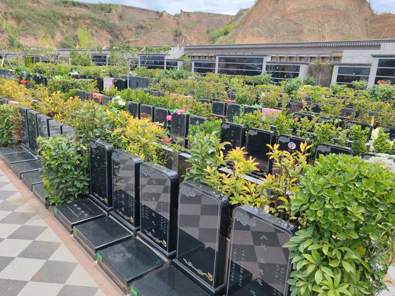 �ڵ���̬������