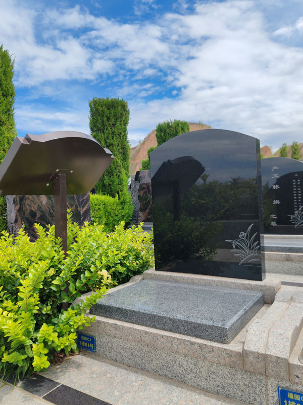 ��԰C3������